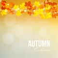 Autumn, fall card, banner. Garden party decoration. String of polygonal oak, maple leaves, lights. Modern blurred . Royalty Free Stock Photo
