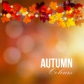 Autumn, fall card, banner. Garden party decoration. String of polygonal oak, maple leaves, lights. Modern illustration
