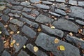 Autumn/fall cobblestone background Royalty Free Stock Photo