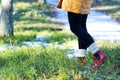 Autumn or spring concept with colorful forest and rain boots outside. Close up of woman feet walking in red boots. Royalty Free Stock Photo