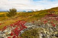 Arctic Tundra Fall Colors Yukon Territory Canada Royalty Free Stock Photo