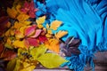 Autumn fall leaves and a warm blue scarf. Top view