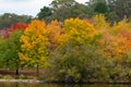 The autumn fall colours at mount lofty south australia on 17th M