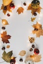 Autumn, fall composition. Beautiful background of dried leaves. Creative autumn pattern, postcard. Flat lay, top view. Royalty Free Stock Photo