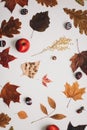 Autumn, fall composition. Beautiful background of dried leaves. Creative autumn pattern, postcard. Flat lay, top view. Royalty Free Stock Photo