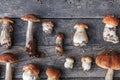 Autumn fall composition. Variety raw edible mushrooms Penny Bun Boletus leccinum on rustic table. Ceps over wooden dark background Royalty Free Stock Photo
