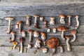 Autumn fall composition. Variety raw edible mushrooms Penny Bun Boletus leccinum on rustic table. Ceps over wooden dark background Royalty Free Stock Photo