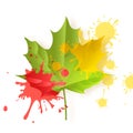 Autumn fall concept. Bright orange and red watercolor painted autumn maple leaf vector background. Template for poster Royalty Free Stock Photo