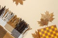 Autumn, fall concept. Checked orange gift paper bag, warm cozy blanket plaid, autumn dried leaves on pastel beige background. Flat Royalty Free Stock Photo