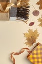 Autumn, fall concept. Checked orange gift paper bag, warm cozy blanket plaid, autumn dried leaves, holiday ribbons on pastel beige Royalty Free Stock Photo