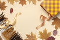Autumn, fall concept. Checked orange gift paper bag, warm cozy blanket plaid, autumn dried leaves, holiday ribbons on pastel beige Royalty Free Stock Photo