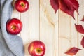Autumn or fall concept, red apples and leaves with grey knitwear on wooden background, copyspace, cold october weather