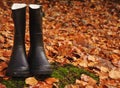 Autumn Fall concept wellington boots leaves Royalty Free Stock Photo