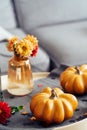 Autumn, fall cozy mood composition for hygge home decor. Orange pumpkins, candles and dahlia flowers on the tray with