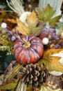 Autumn, fall decoration with a pumpkin, pine cone, leaves. Natural background. Royalty Free Stock Photo