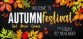 Autumn Fall festival announcement, invitation banner with fallen leaves Royalty Free Stock Photo