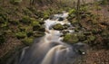 Autumn Fall forest landscape stream flowing through golden vibrant foliage and rocks Royalty Free Stock Photo