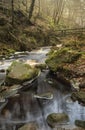 Autumn Fall forest landscape stream flowing through golden vibrant foliage and rocks Royalty Free Stock Photo