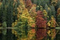 Autumn fall forest reflection in a lake with amazing beautiful colors for adventure tourism autumn trees in a forest Royalty Free Stock Photo