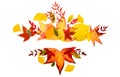 Autumn fall frames borders. Fall leaf banner. Thanksgiving background, fall design, texture for flyer or poster.