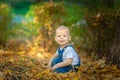 Autumn, fall, girl, child, little, happy, kid, nature, park, leaves, season, portrait, yellow, foliage, baby, outdoor, caucasian, Royalty Free Stock Photo