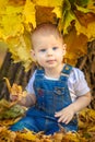 Autumn, fall, girl, child, little, happy, kid, nature, park, leaves, season, portrait, yellow, foliage, baby, outdoor, caucasian, Royalty Free Stock Photo