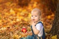 Autumn, fall, girl, child, little, happy, kid, nature, park, leaves, season, portrait, yellow, foliage, baby, outdoor, caucasian, Royalty Free Stock Photo