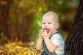 Autumn, fall, girl, child, little, happy, kid, nature, park, leaves, season, portrait, yellow, foliage, baby, outdoor, caucasian, Royalty Free Stock Photo