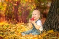 Autumn, fall, girl, child, little, happy, kid, nature, park, leaves, season, portrait, yellow, foliage, baby, outdoor, caucasian,