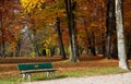 Autumn. Fall. Gold Trees in a Park in the typical Foliage colorful aspect, with a Bench in foreground Royalty Free Stock Photo