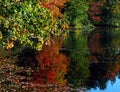 AUTUMN-FALL- Gorgeous Fall Colors Reflected in a Lake