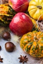 Autumn fall halloween still life composition with pumpkin nuts chestnut Royalty Free Stock Photo