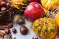 Autumn fall halloween still life composition with pumpkin nuts chestnut Royalty Free Stock Photo