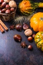 Autumn fall halloween still life composition with pumpkin nuts chestnut Royalty Free Stock Photo