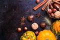 Autumn fall halloween still life composition with pumpkin nuts chestnut Royalty Free Stock Photo
