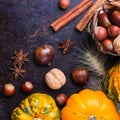 Autumn fall halloween still life composition with pumpkin nuts chestnut Royalty Free Stock Photo