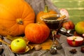 Autumn fall Halloween Thanksgiving season special martini cocktail. A photo composition with maple leaves, apples and