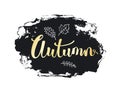 Autumn fall handwritten hand drawn grunge paint brush stroke texture