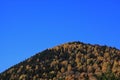 Autumn fall hillside and blue sky Royalty Free Stock Photo