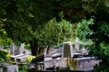 Autumn, fall on historic cemetery graves under trees