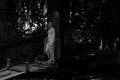 Autumn, fall on historic cemetery statue under a tree. Monochrome. Royalty Free Stock Photo