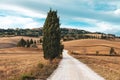 Autumn fall in the Italian land Royalty Free Stock Photo