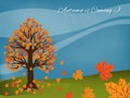 Autumn fall landscape background with Autumn is Coming text