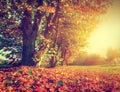 Autumn, fall landscape in park Royalty Free Stock Photo