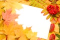 Autumn fall leaf frame Royalty Free Stock Photo