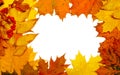 Autumn fall leaf frame Royalty Free Stock Photo