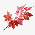 Autumn fall leaves on a branch isolated on white background. beauty of autumn as generative AI showcases the vibrant