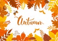 Autumn fall leaves branches twigs background