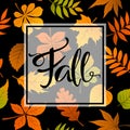 Autumn fall leaves foliage background on seamless pattern Royalty Free Stock Photo