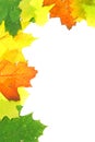 Autumn fall leaves - frame